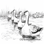 Educational Canada Geese Migration Pattern Coloring Pages 3