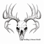 Educational Deer Antler Anatomy Coloring Pages 1