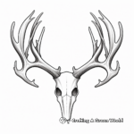 Educational Deer Antler Anatomy Coloring Pages 2
