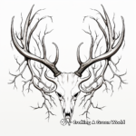 Educational Deer Antler Anatomy Coloring Pages 4