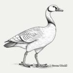 Educational Diagram of Goose Anatomy Coloring Pages 1