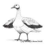 Educational Diagram of Goose Anatomy Coloring Pages 3