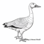 Educational Diagram of Goose Anatomy Coloring Pages 4