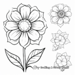 Educational Flower Anatomy Coloring Pages 2