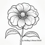 Educational Flower Anatomy Coloring Pages 4