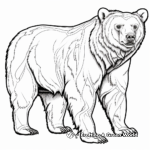 Educational Grizzly Bear Anatomy Coloring Pages 1
