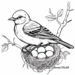 Educational Mockingbird Life Cycle Coloring Pages 1