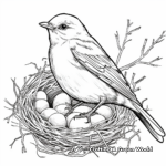 Educational Mockingbird Life Cycle Coloring Pages 2