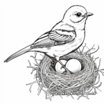 Educational Mockingbird Life Cycle Coloring Pages 3