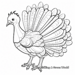 Educational Turkey Anatomy Coloring Pages 4