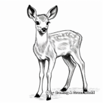 Eld's Deer: The Thamin or Brow-antlered Deer Coloring Pages 1