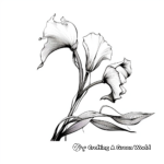 Elegant Calla Lily Coloring Pages for Adults 1