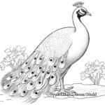Elegant Imperial Peacock Coloring Pages 2
