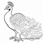 Elegant Imperial Peacock Coloring Pages 3
