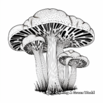 Elegant Morel Mushroom Coloring Pages 1