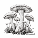 Elegant Morel Mushroom Coloring Pages 3