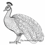 Elegant Peacock Pheasant Coloring Sheets 4