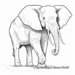 Elephant Long Trunk Adaptation Coloring Pages 4