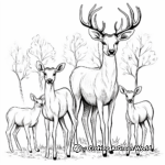 Elk Antler Family Coloring Pages: Male, Female, and Calves 2