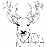 Elk Head Coloring Pages for Nature Lovers 4