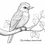 Embellished Kingfisher Coloring Pages 4