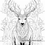 Emperor Stag Coloring Pages For The Artistic 4