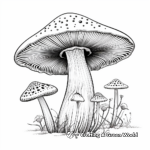 Enchanting Amanita Mushroom Coloring Pages 4