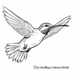 Enchanting Ruby Throated Hummingbird Coloring Pages for All Ages 2