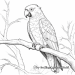 Endangered Blue-throated Macaw Coloring Sheets 1