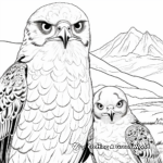Endangered Falcons: Conservation Coloring Pages 2