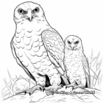 Endangered Falcons: Conservation Coloring Pages 3