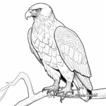 Endangered Golden Eagles Coloring Pages 2