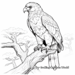 Endangered Golden Eagles Coloring Pages 4