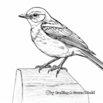 Endangered Mockingbird Species Coloring Page 3