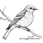 Endangered Mockingbird Species Coloring Page 4