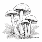 Endangered Mushroom Species Coloring Pages 4