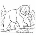 Endangered Species Facts: Grizzly Bear Infographic Coloring Page 2