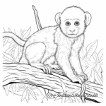 Endangered White-headed Capuchin Coloring Page 3