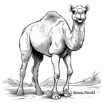 Engaging Dromedary Camel Coloring Pages 2