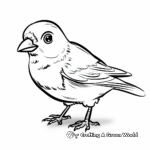 Engaging Spanish Sparrow Coloring Sheets 4