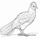 Engaging White Pheasant Coloring Pages for Creativity 3