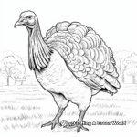 Enthralling Merriam’s Turkey Coloring Pages 1