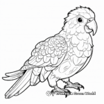 Exotic Amazon Parrot Coloring Pages 3