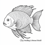 Exotic Angelfish Coloring Pages 1