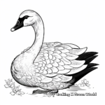 Exotic Black Swan Coloring Pages 3