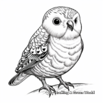 Exotic Budgie Coloring Pages for Everyone 2