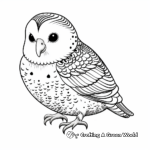 Exotic Budgie Coloring Pages for Everyone 3