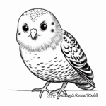 Exotic Budgie Coloring Pages for Everyone 4