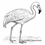 Exotic Caribbean Flamingo Coloring Pages 4