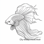Exotic Delta Tail Betta Fish Coloring Pages 3